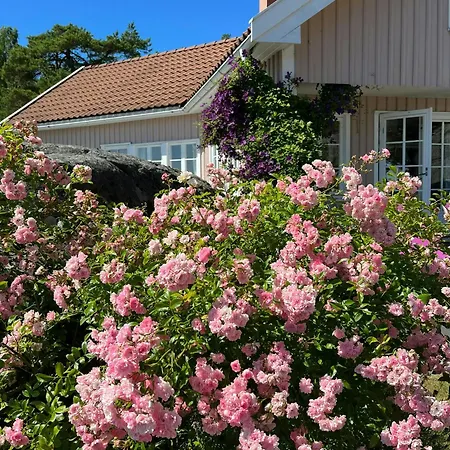 With Sea View Near Risor Sondeled